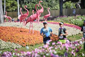 BIB: 
                            <button type="button" onclick="openModal(27793294)" class="btn btn-primary btn-sm float-right btn-popup" data-toggle="modal" data-target=".modal-high-quality">
                        <i class="fas fa-shopping-cart"></i> Add to Cart
                    </button>
                                            <button type="button" onclick="isThisMe(27793294, true)" class="btn btn-success btn-sm float-right btn-popup btn-isme hidden" data-toggle="tooltip" data-placement="bottom" title="นี่คือรูปของคุณใช่ไหม คลิกที่นี่เพื่อเอาเข้าอัลบั้ม">
                        <i class="fas fa-plus"></i> Add to album
                    </button>
                    <button type="button" onclick="isThisMe(27793294, false)" class="btn btn-warning btn-sm float-right btn-popup btn-isnotme hidden">
                        <i class="fas fa-ban"></i> Remove from album
                    </button>